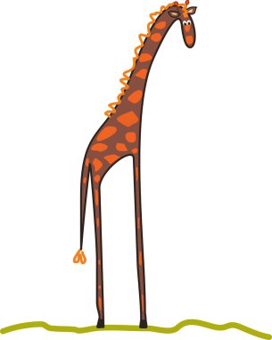 Nice giraffe isolated clipart