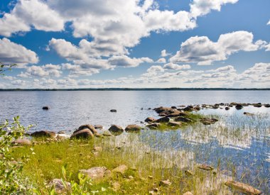 Lake in Finland clipart