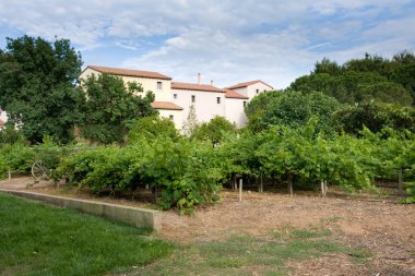 Summer landscape. Catalonia, Spain clipart