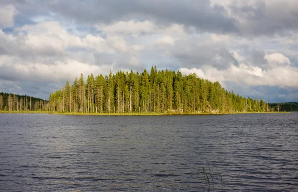Zomer lake. Finland — Stockfoto
