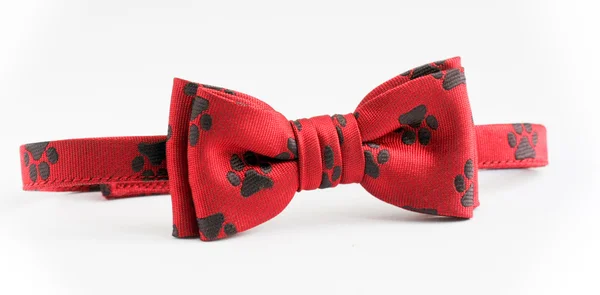 stock image Children's bow tie with dog tracks