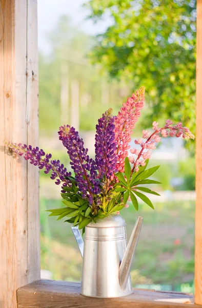 Bouquet of lupines in the window — Stock Photo, Image