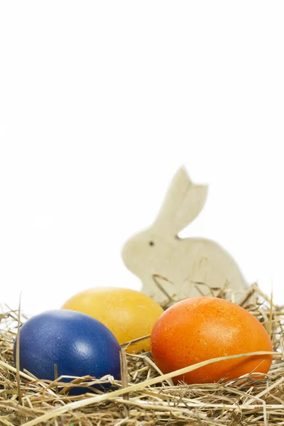 Hand painted easter eggs with bunny — Stock Photo, Image