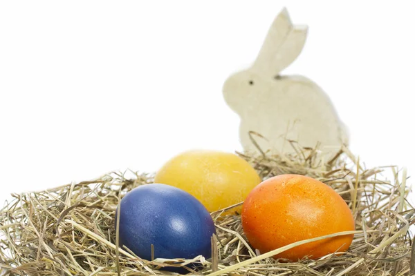 El boyalı Paskalya yumurtaları tavşanlı — Stok fotoğraf