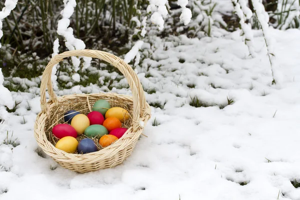 Пасхальные яйца в снегу — стоковое фото