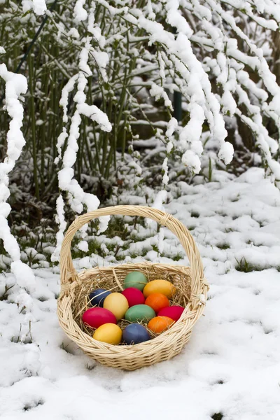 Oeufs de Pâques dans la neige — Photo