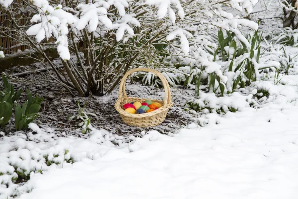 雪中的复活节彩蛋 — 图库照片