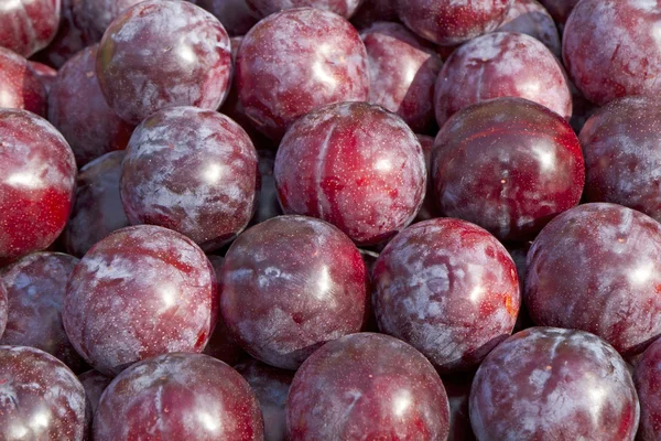 Fresh plums on a market as background — Stock Photo, Image