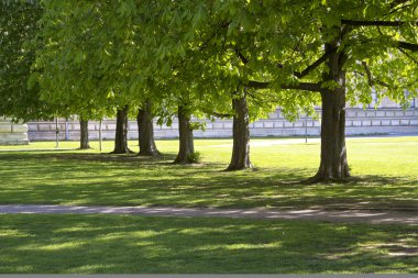 Şehir Parkı, Münih, Almanya