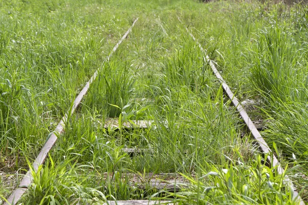 Alte Gleise in einem Hochmoor in Bayern — Stockfoto