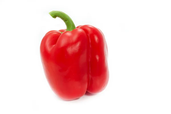 Červená paprika pepř na bílém pozadí — Stock fotografie