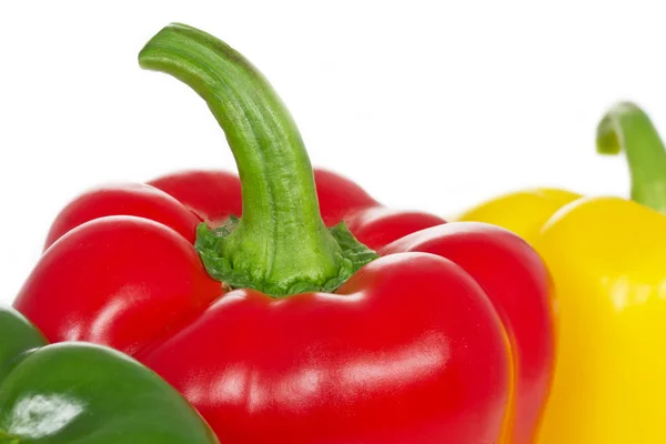 Πάπρικα πιπεριές σε άσπρο φόντο — Φωτογραφία Αρχείου