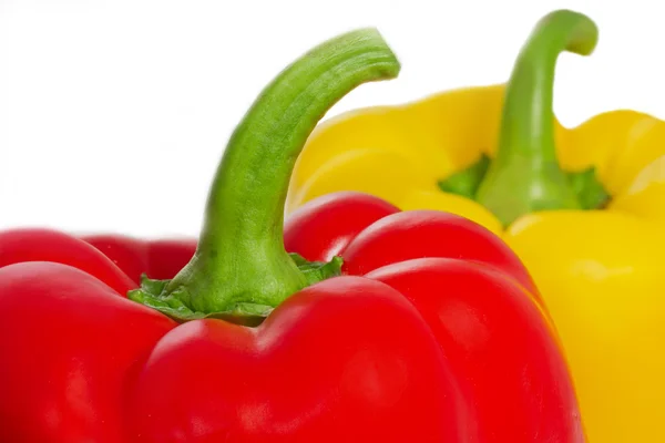 Paprika papriky na bílém pozadí — Stock fotografie