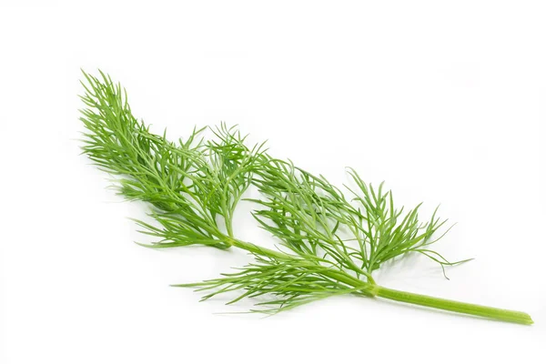 Dill on white background — Stock Photo, Image
