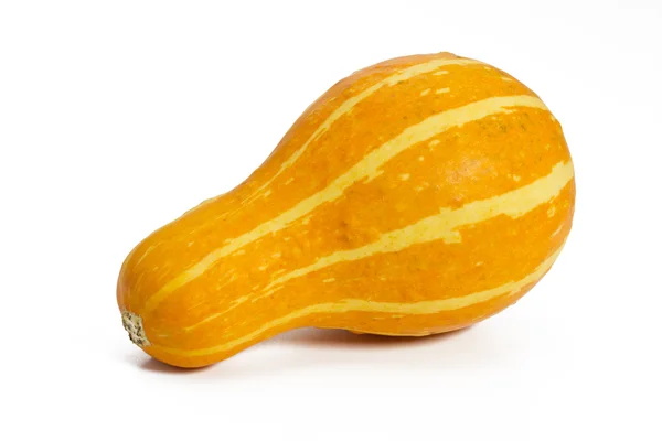 Decoratieve Pumpkin op wit — Stockfoto