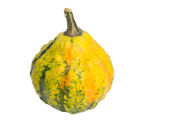 Decoratieve Pumpkin op witte achtergrond — Stockfoto