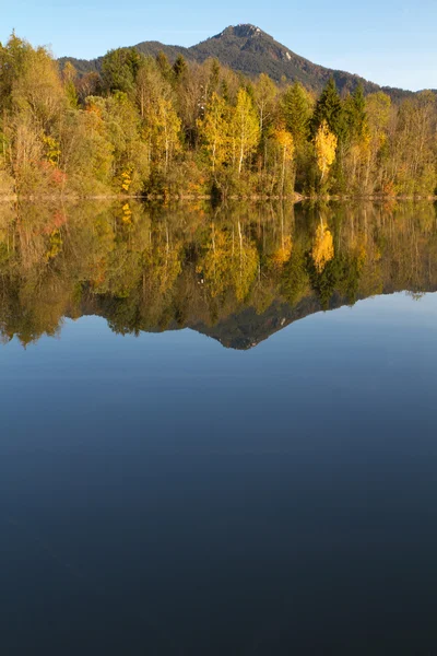 Árvores com folhas de outono em um lago na Baviera, Alemanha — Fotografia de Stock
