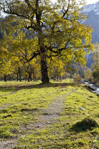 Долина Ahornboden (Клен звичайний) у Тіролі (Austri, горами Карвендель — стокове фото