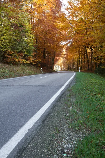 Estrada rural na Baviera, Alemanha, no Outono — Fotografia de Stock