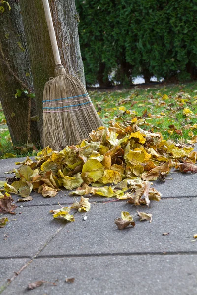 Rastrillo follaje otoño —  Fotos de Stock