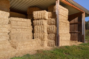 Storing hay balls in autumn clipart