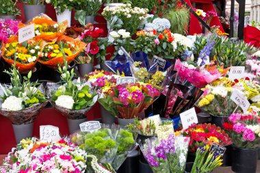 renkli çiçek çiçekçi bir pazarında