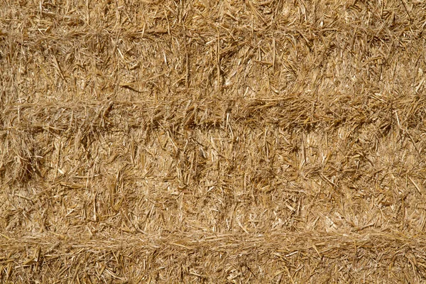 Golden straw in a haystack as background — Stock Photo, Image