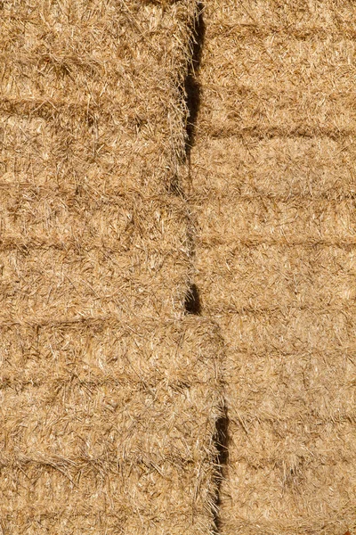 Golden straw in a haystack as background — Stock Photo, Image