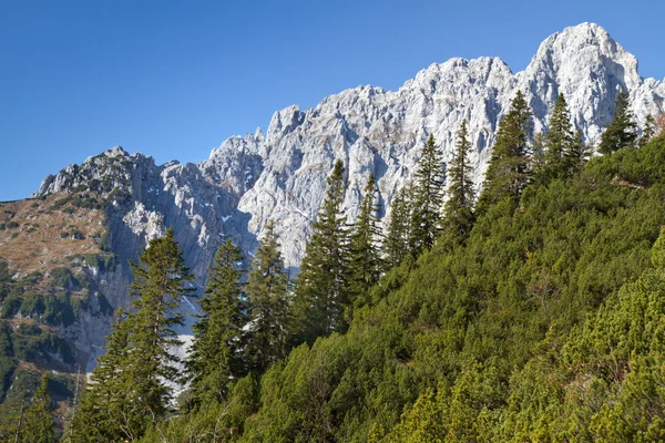 Senderismo en los Alpes austríacos (Zahmer Kaiser Mountains ) — Foto de Stock
