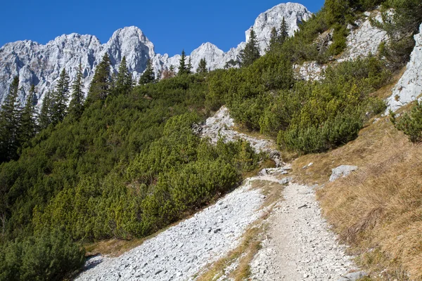 在奥地利阿尔卑斯山 (Zahmer 凯泽山徒步旅行) — 图库照片