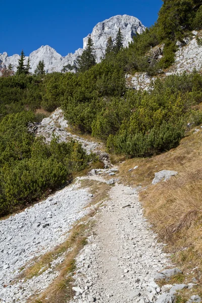 Caminhadas nos alpes austríacos (Zahmer Kaiser Mountains ) — Fotografia de Stock