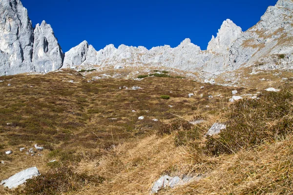 Hiking in the Austrian alps (Zahmer Kaiser Mountains) — Stock Photo, Image