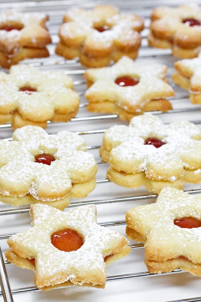Christmas Cookies — Stock Photo, Image