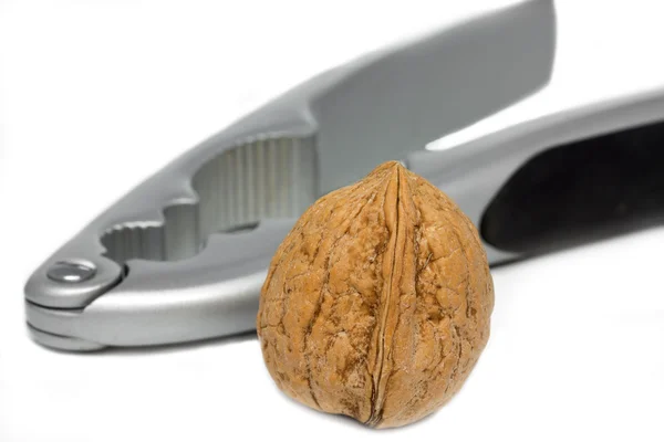 Celý ořech s maticí cracker — Stock fotografie