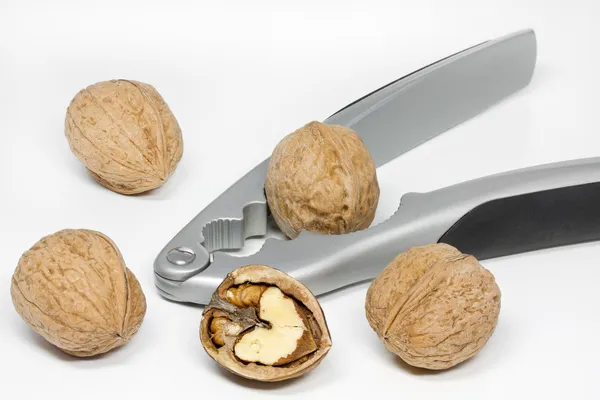 Některé ořechy s maticí cracker — Stock fotografie