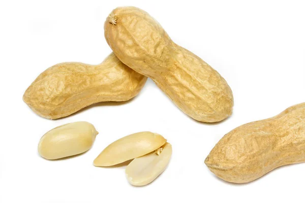 白地にピーナッツ — ストック写真