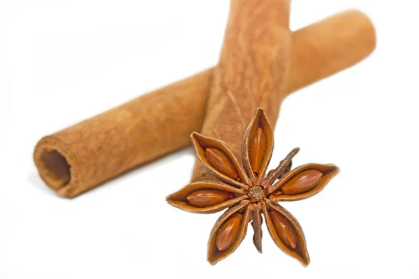 Two cinnamon sticks with star anise — Stock Photo, Image