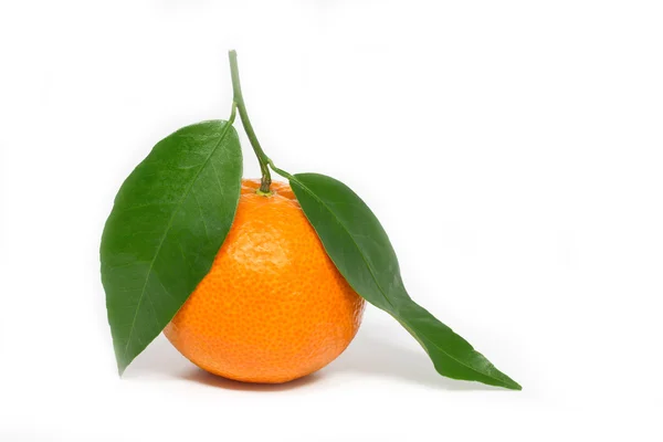 Mandarina fresca sobre fondo blanco —  Fotos de Stock