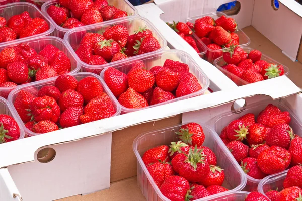 Verse aardbeien op de markt — Stockfoto
