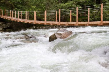 Wooden bridge over wild waters clipart