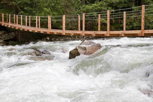 stock image Wooden bridge over wild waters