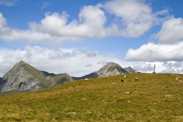 Letní horské panorama s pastviny v Jižní Tyrolsko, Itálie — Stock fotografie
