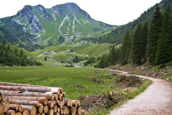 Rotwand góry Alpy Bawarskie — Zdjęcie stockowe