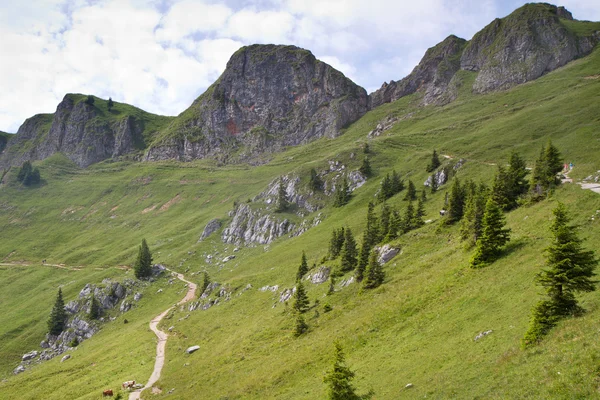 Rotwand góry w Bawarii — Zdjęcie stockowe