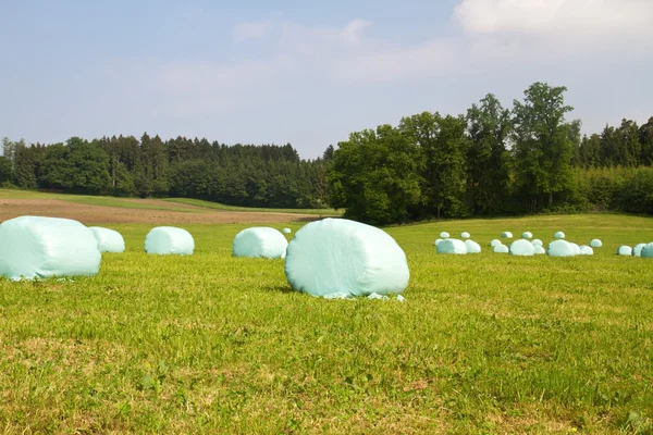 stock image Hay bales in plastic bags in spring