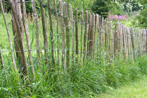 Old picket fence in a garden — Stock Photo, Image