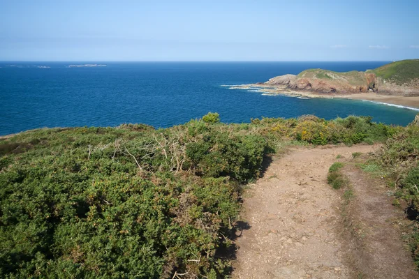 Coastal hiking trail, north coast of Jersey (UK) — Stock Photo, Image