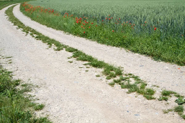 Strada sterrata con campo di grano in Baviera, Germania — Foto Stock