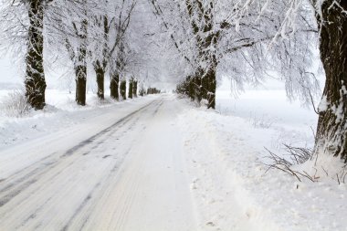 karla kaplı ilçe uckermark caddede