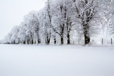 karla kaplı ilçe uckermark caddede